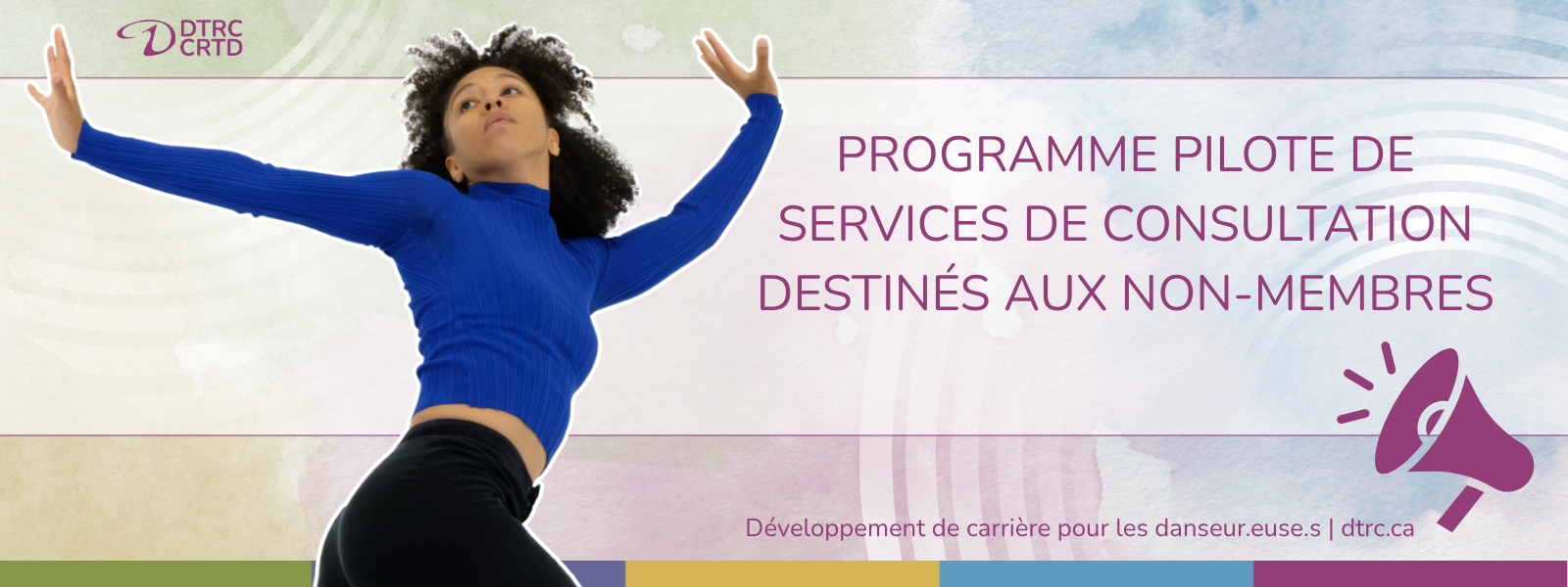 Programme pilote de services de consultation destinés aux non-membres (1)